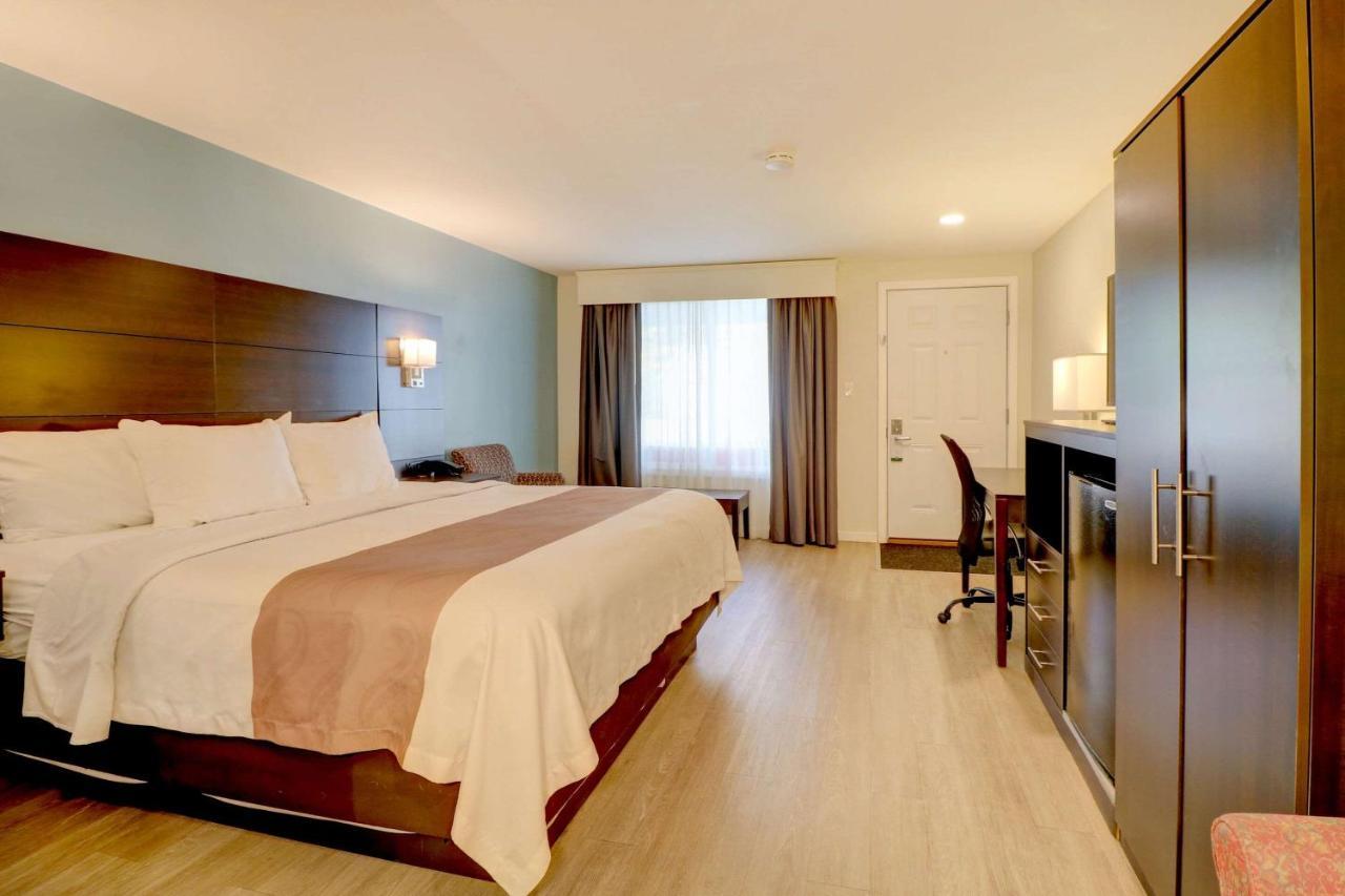 Hotel Quality &